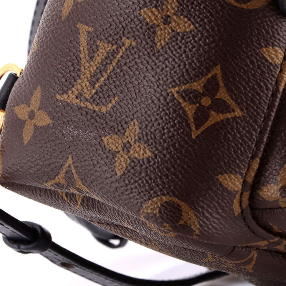 Louis Vuitton Palm Springs Backpack #211138L22B - Picture 7 of 9